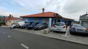 Villa Senegačnik